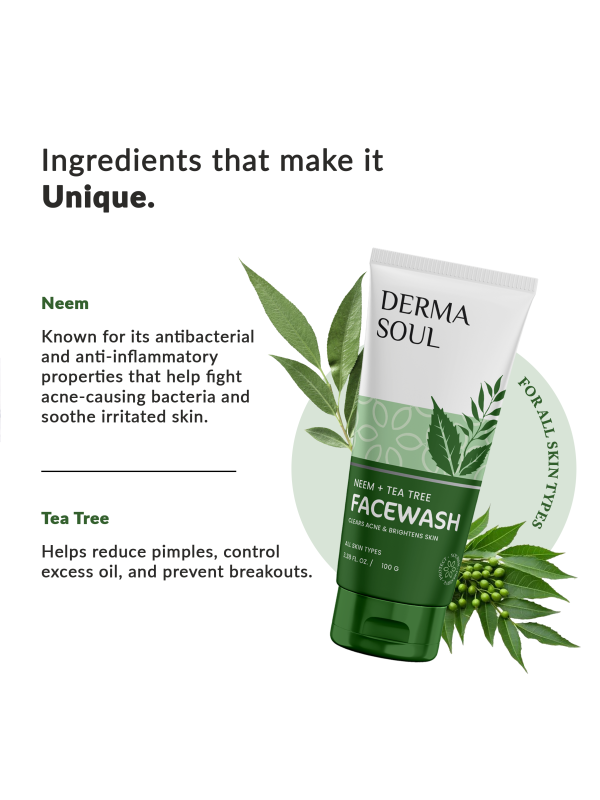 DERMA SOUL NEEM AND TEA TREE FACEWASH 100G